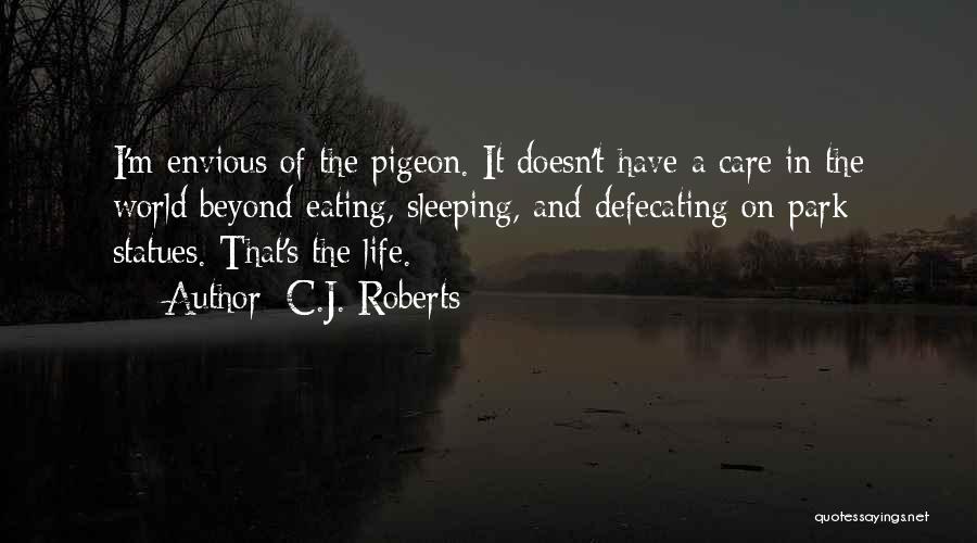 Life Envious Quotes By C.J. Roberts