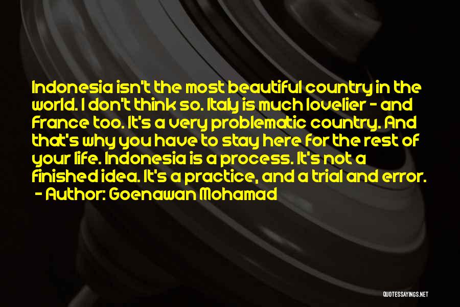 Life Error Quotes By Goenawan Mohamad