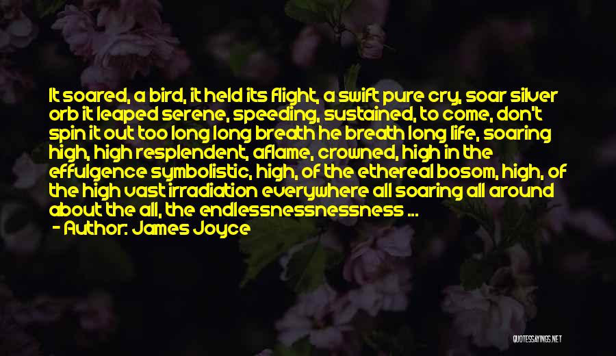 Life Ethereal Quotes By James Joyce