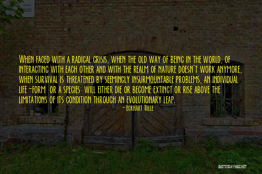 Life Evolution Quotes By Eckhart Tolle Life Evolution Quotes By Eckhart Tolle