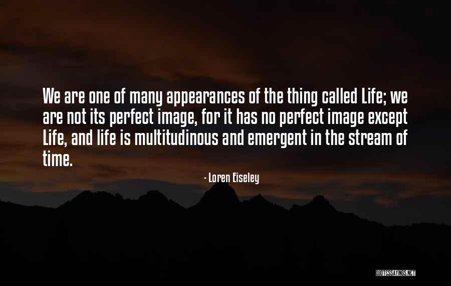 Life Evolution Quotes By Loren Eiseley Life Evolution Quotes By Loren Eiseley