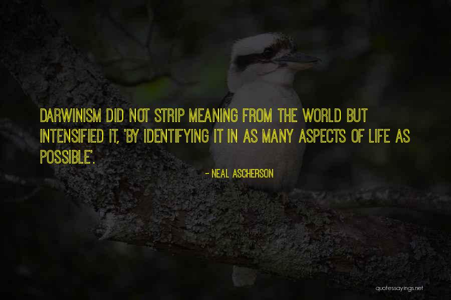 Life Evolution Quotes By Neal Ascherson