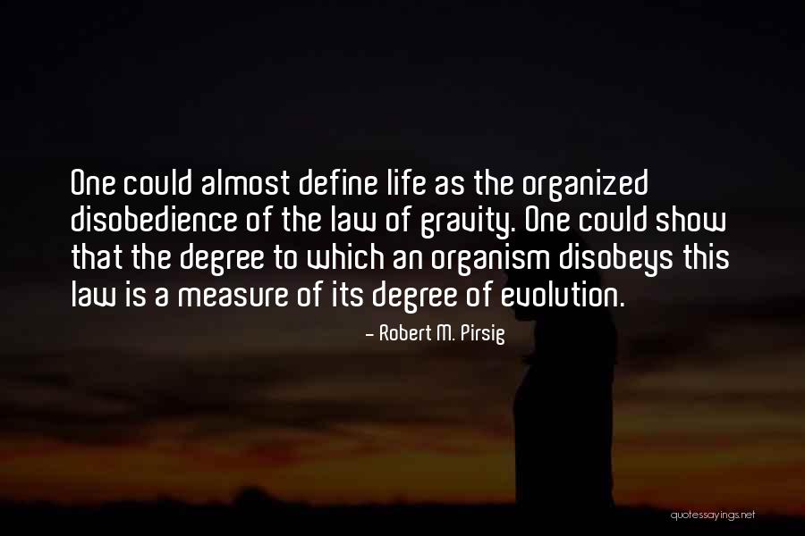 Life Evolution Quotes By Robert M. Pirsig