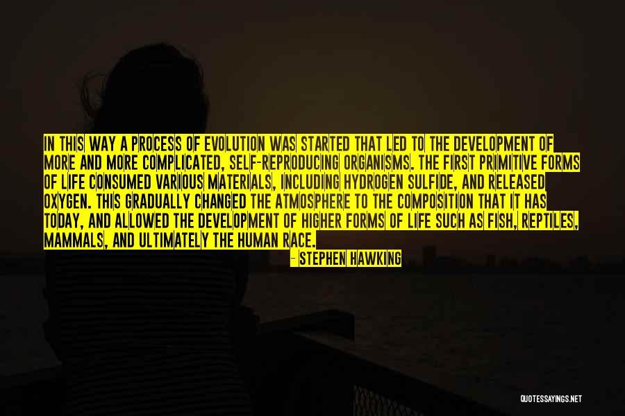 Life Evolution Quotes By Stephen Hawking