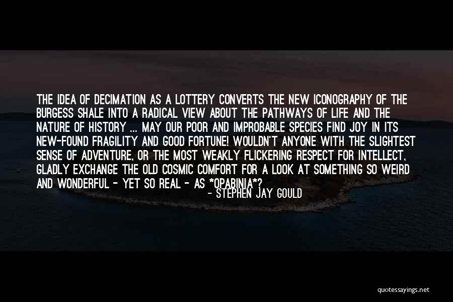 Life Evolution Quotes By Stephen Jay Gould Life Evolution Quotes By Stephen Jay Gould