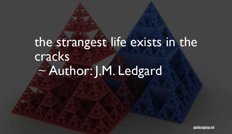 Life Exists Quotes By J.M. Ledgard