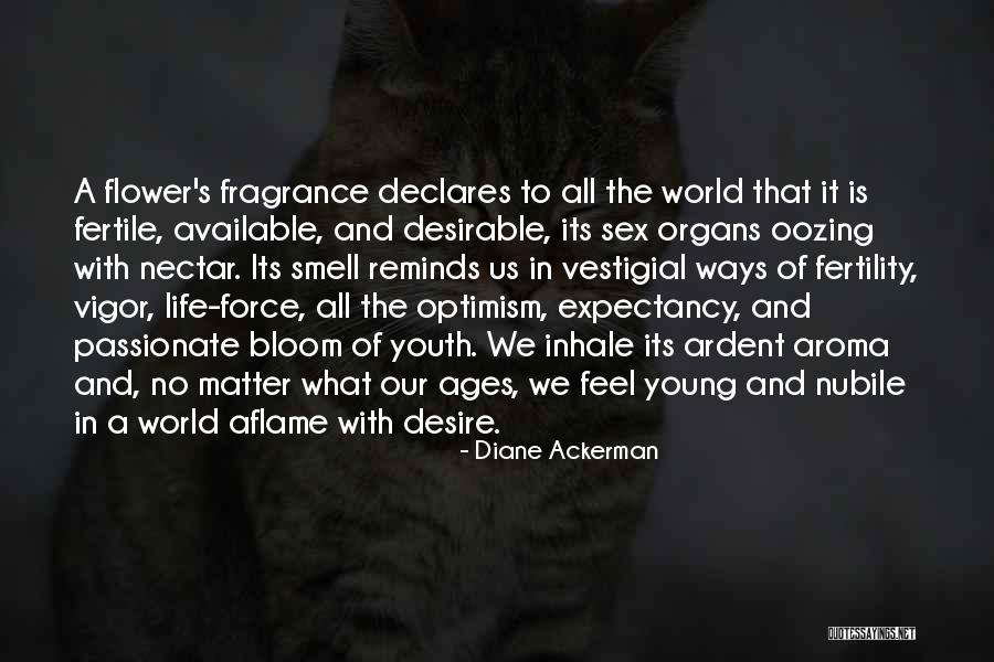 Life Expectancy Quotes By Diane Ackerman Life Expectancy Quotes By Diane Ackerman