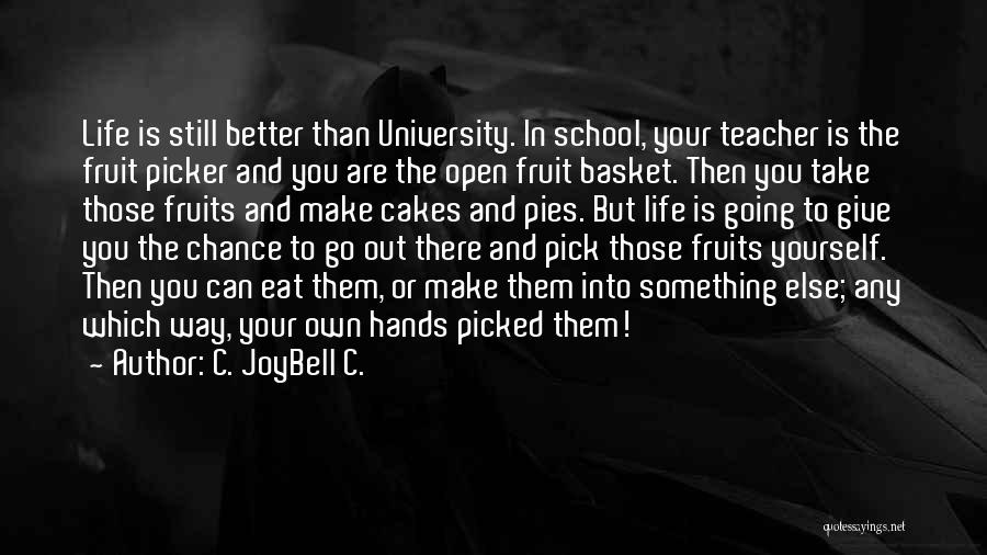 Life Experience Is The Best Teacher Quotes By C. JoyBell C.