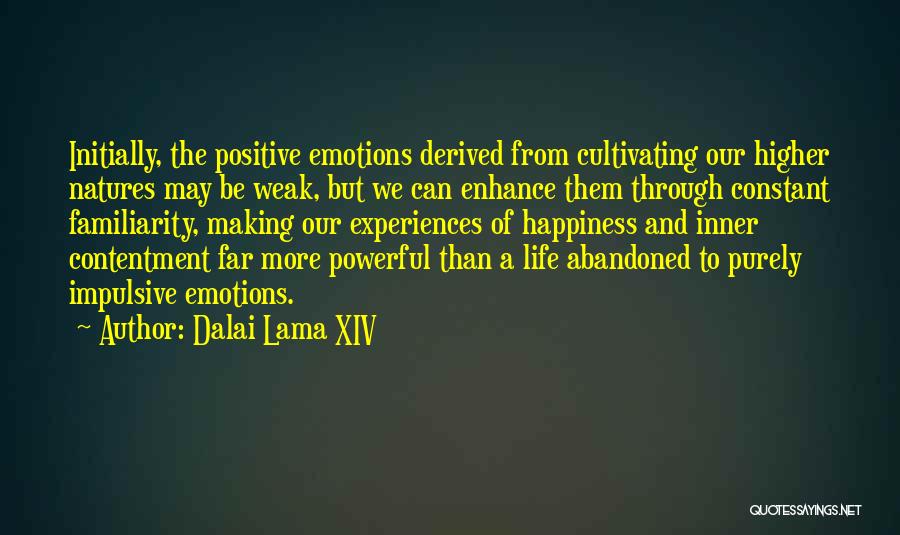 Life Experiences Making You Who You Are Quotes By Dalai Lama XIV