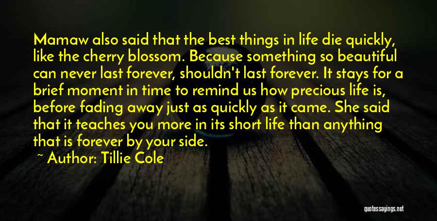 Life Fading Away Quotes By Tillie Cole