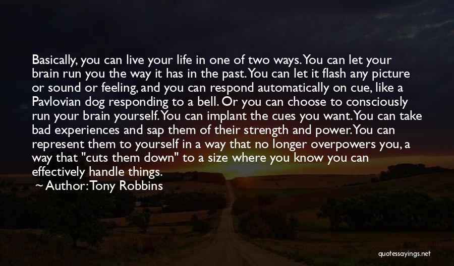 Life Feeling Down Quotes By Tony Robbins