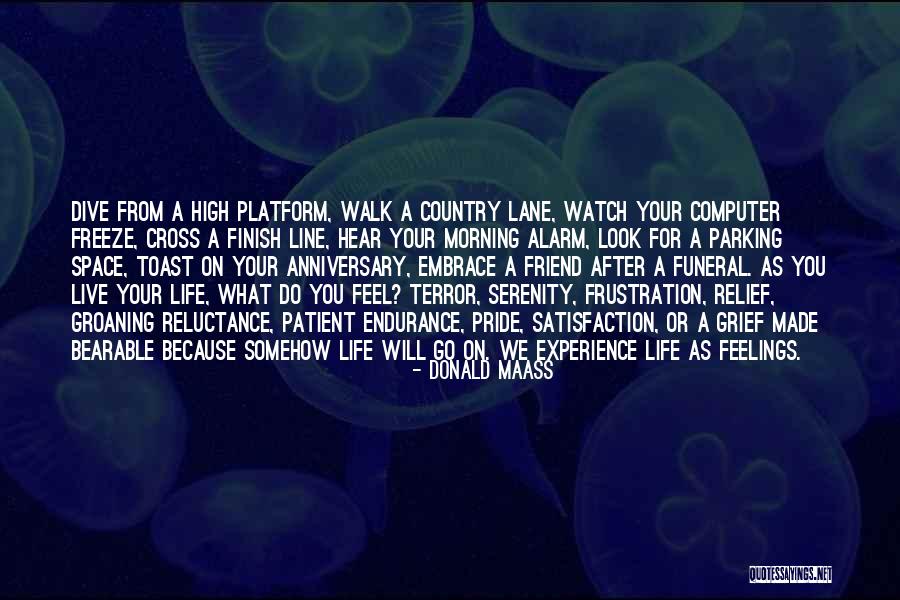 Life Finish Line Quotes By Donald Maass Life Finish Line Quotes By Donald Maass