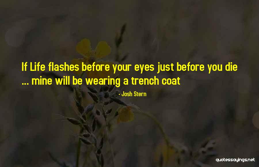 Life Flashes Before Your Eyes Quotes By Josh Stern Life Flashes Before Your Eyes Quotes By Josh Stern