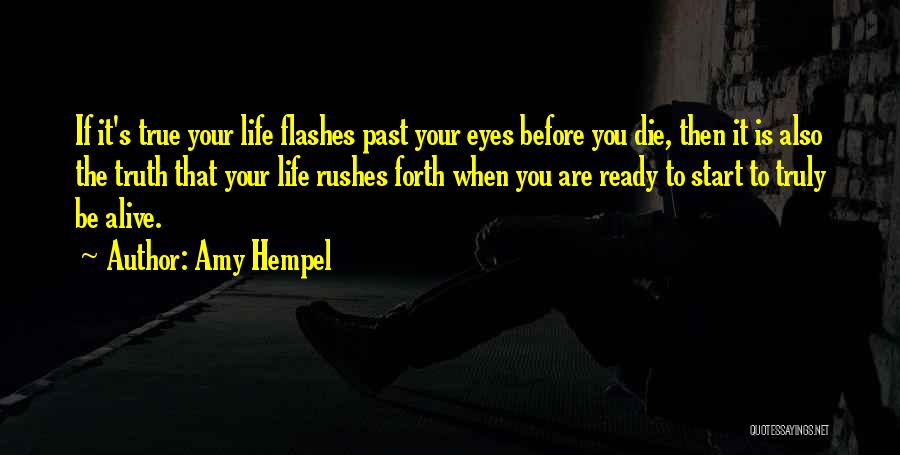 Life Flashes Quotes By Amy Hempel