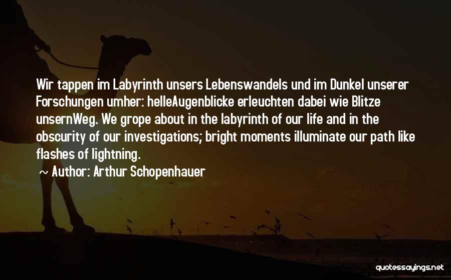 Life Flashes Quotes By Arthur Schopenhauer