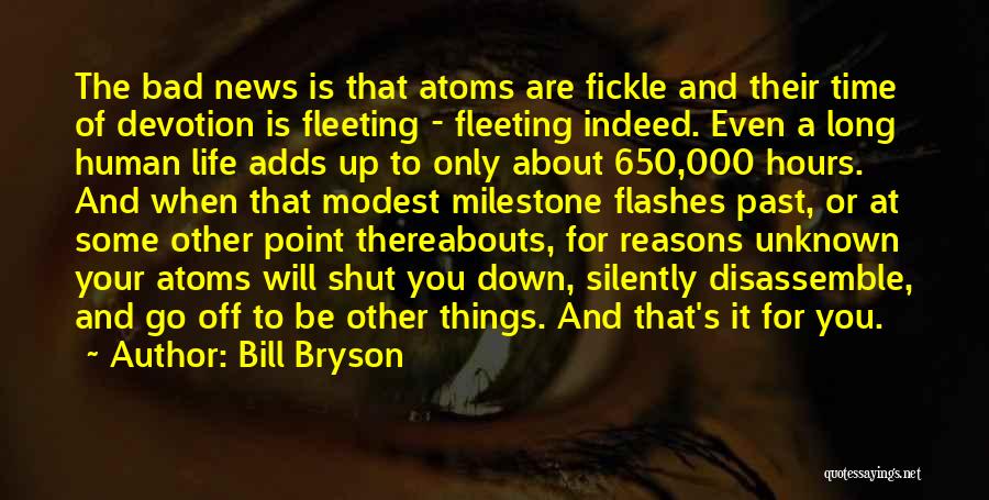 Life Flashes Quotes By Bill Bryson