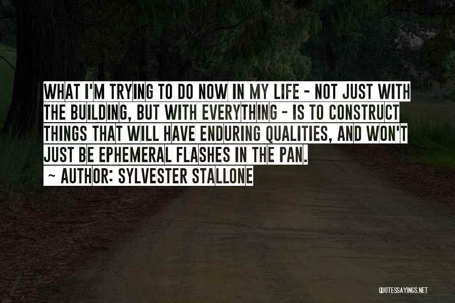 Life Flashes Quotes By Sylvester Stallone