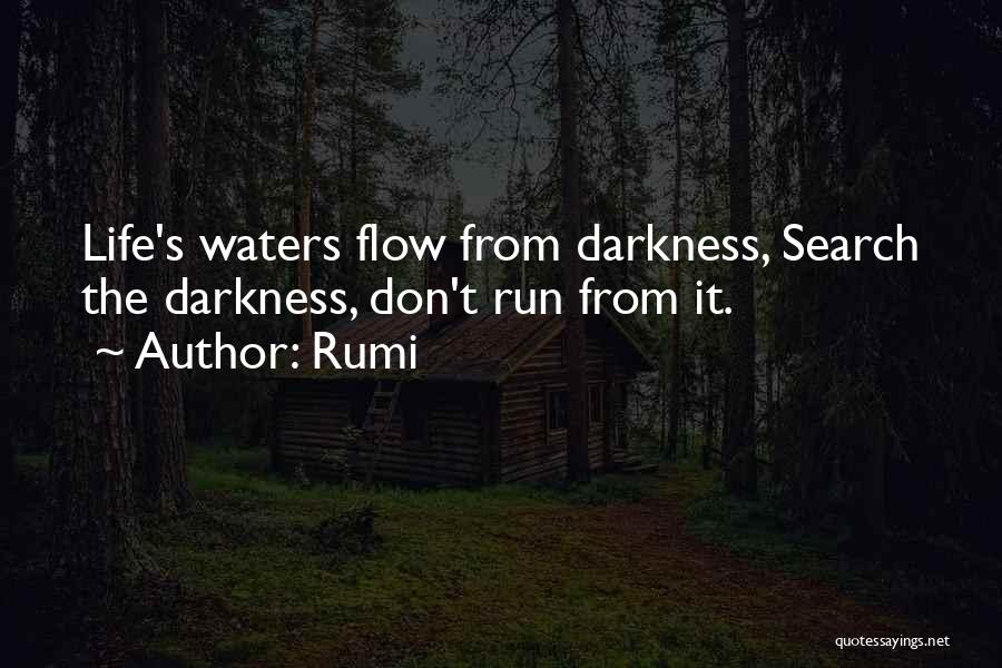Life Flow Quotes By Rumi