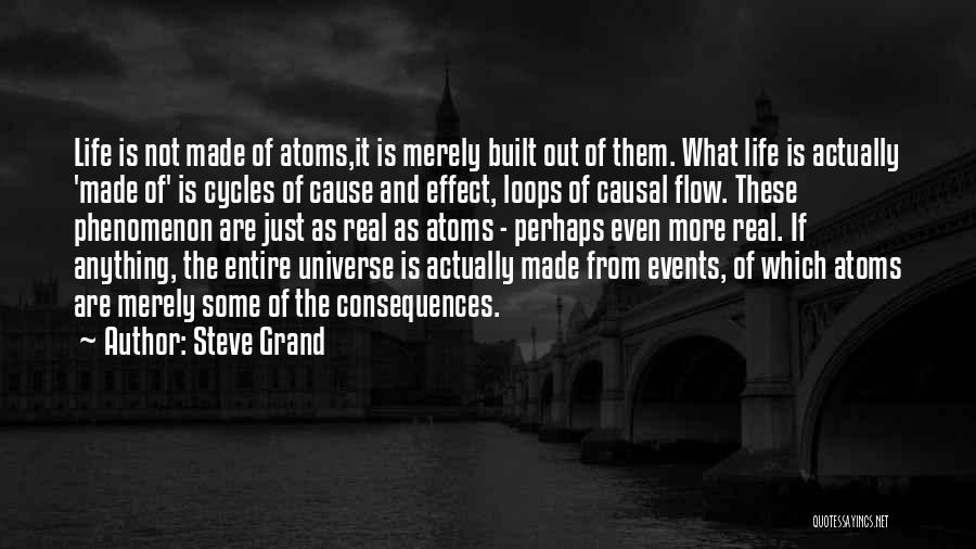 Life Flow Quotes By Steve Grand