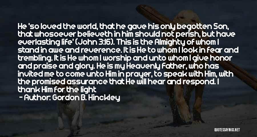 Life For My Son Quotes By Gordon B. Hinckley