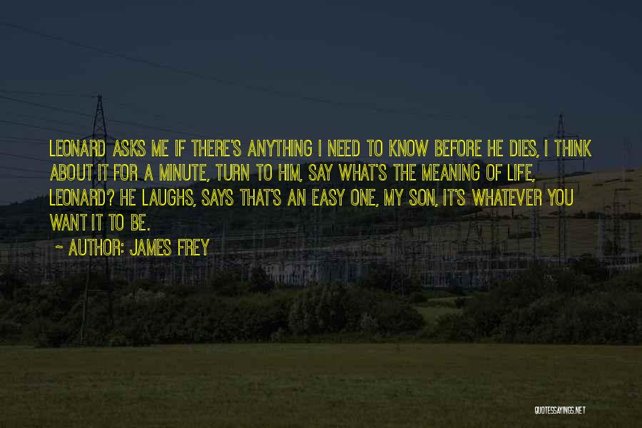 Life For My Son Quotes By James Frey