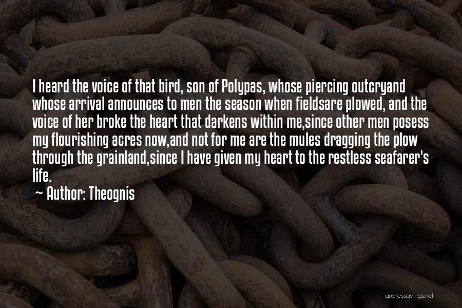 Life For My Son Quotes By Theognis