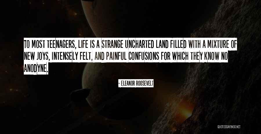 Life For Teenagers Quotes By Eleanor Roosevelt Life For Teenagers Quotes By Eleanor Roosevelt