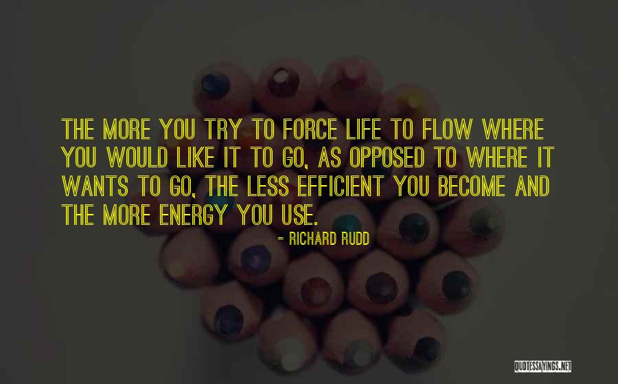 Life Force Quotes By Richard Rudd