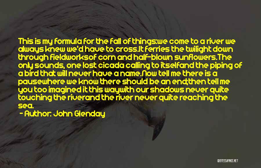 Life Formula Quotes By John Glenday