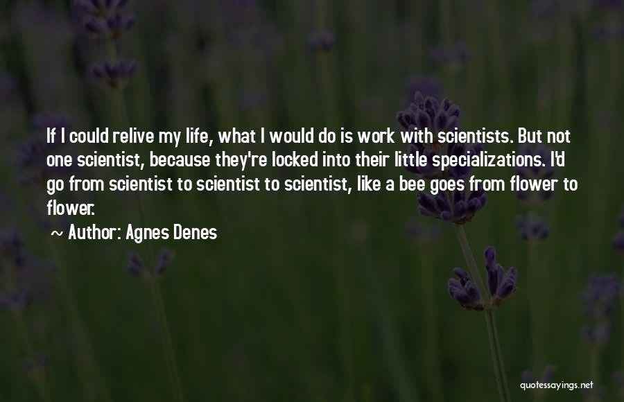 Life From Scientists Quotes By Agnes Denes