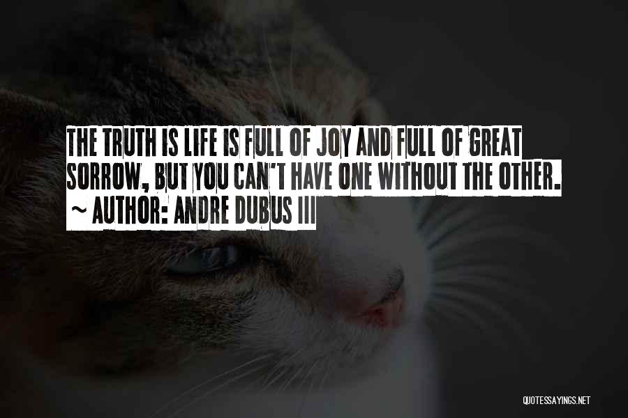 Life Full Joy Quotes By Andre Dubus III