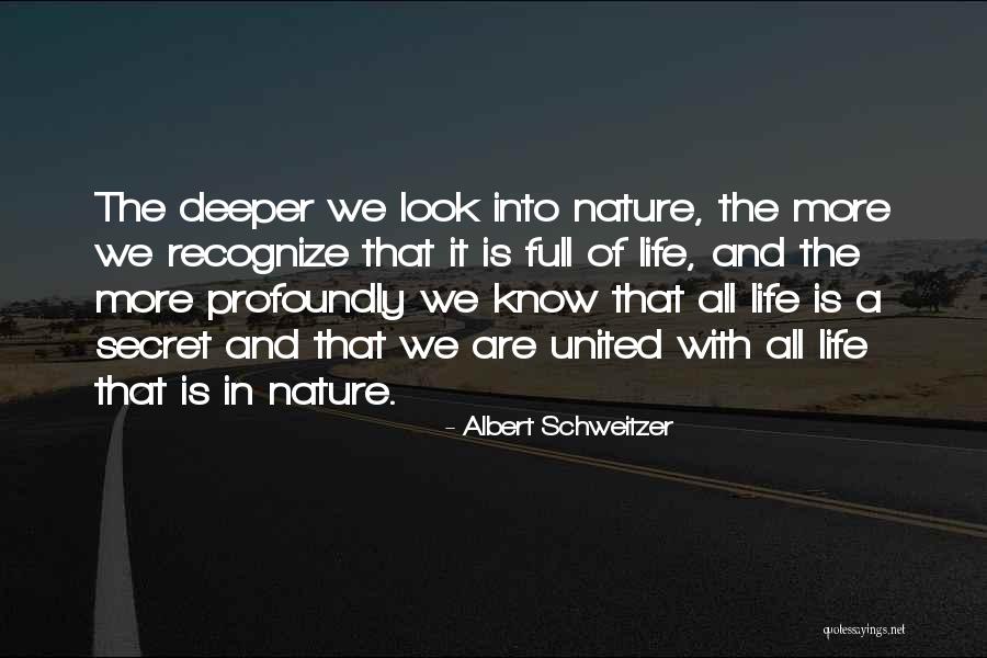 Life Full Of Quotes By Albert Schweitzer