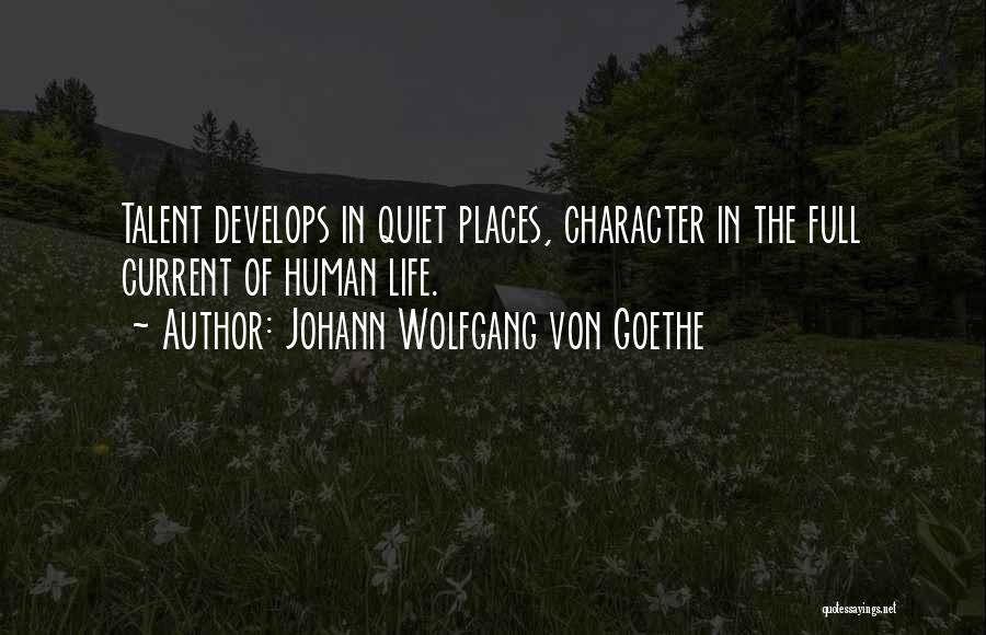 Life Full Of Quotes By Johann Wolfgang Von Goethe