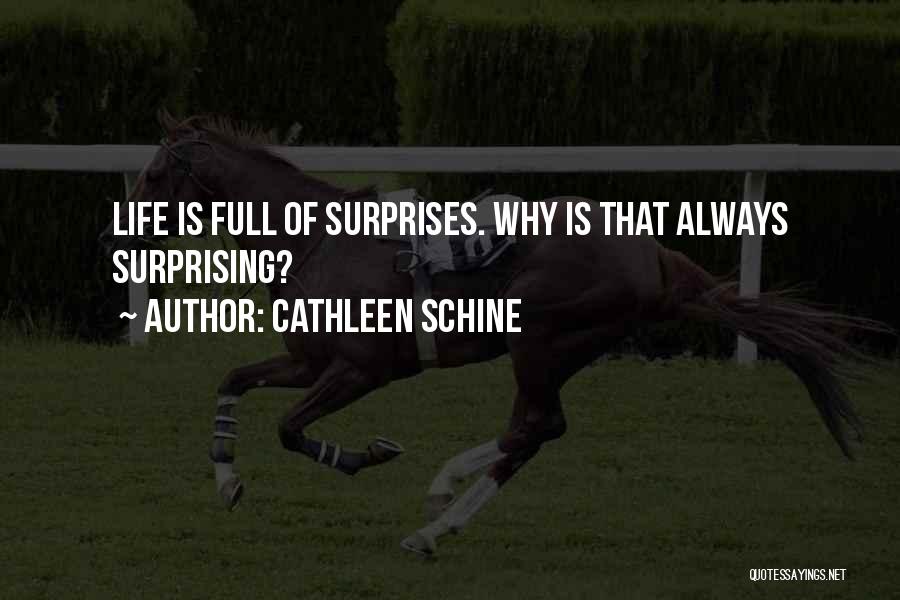 Life Full Of Surprises Quotes By Cathleen Schine