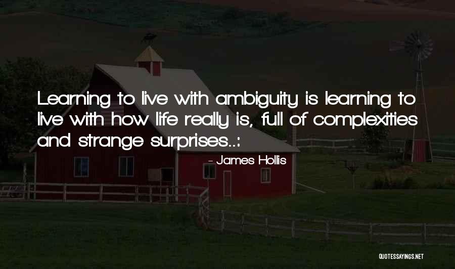 Life Full Of Surprises Quotes By James Hollis