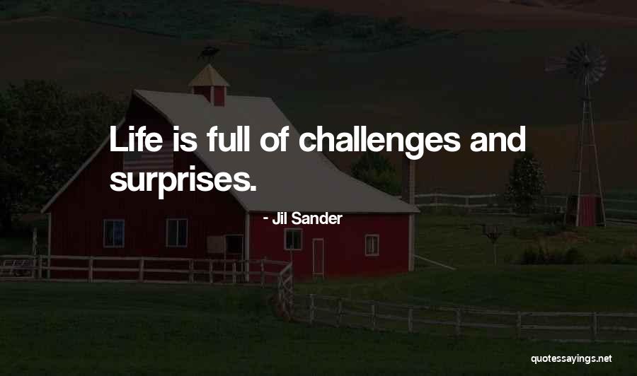 Life Full Of Surprises Quotes By Jil Sander