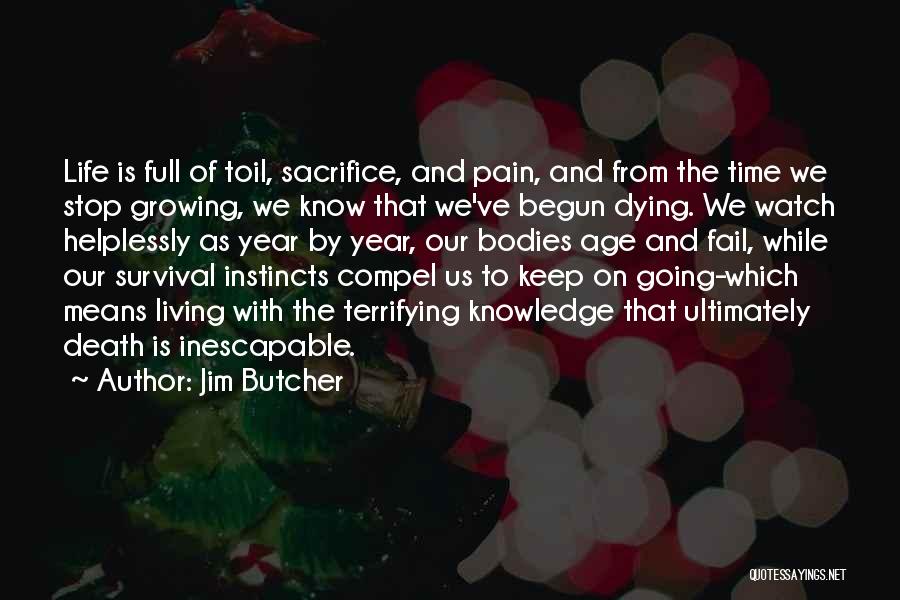 Life Full Pain Quotes By Jim Butcher