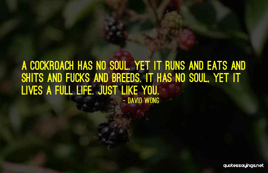 Life Full Quotes By David Wong Life Full Quotes By David Wong