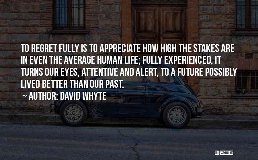 Life Fully Lived Quotes By David Whyte