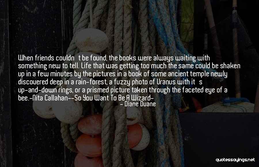 Life Fuzzy Quotes By Diane Duane