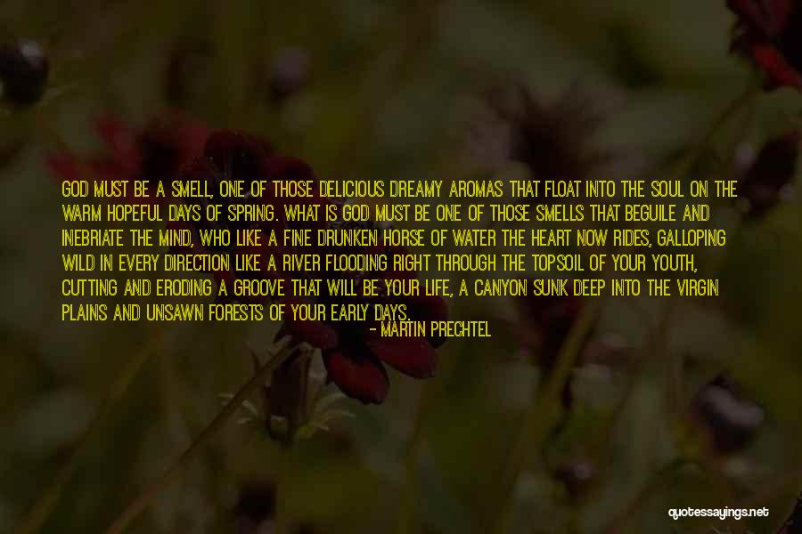 Life Galloping Quotes By Martin Prechtel Life Galloping Quotes By Martin Prechtel