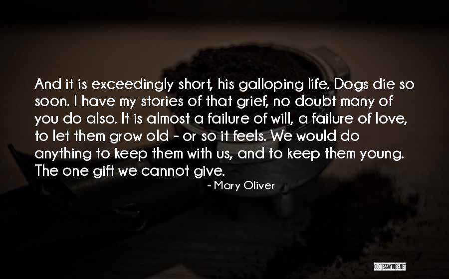 Life Galloping Quotes By Mary Oliver Life Galloping Quotes By Mary Oliver