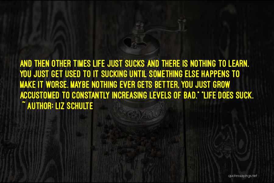 Life Gets Better Quotes By Liz Schulte