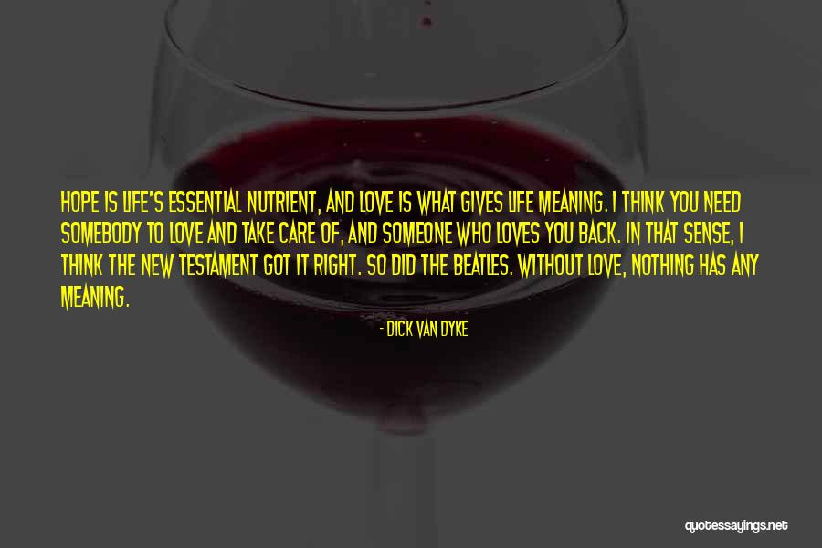 Life Gives You What You Need Quotes By Dick Van Dyke Life Gives You What You Need Quotes By Dick Van Dyke