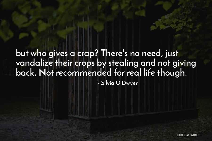 Life Gives You What You Need Quotes By Silvia O'Dwyer Life Gives You What You Need Quotes By Silvia O'Dwyer