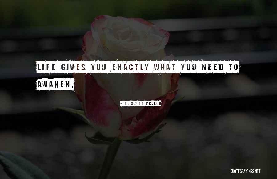Life Gives You What You Need Quotes By T. Scott McLeod Life Gives You What You Need Quotes By T. Scott McLeod