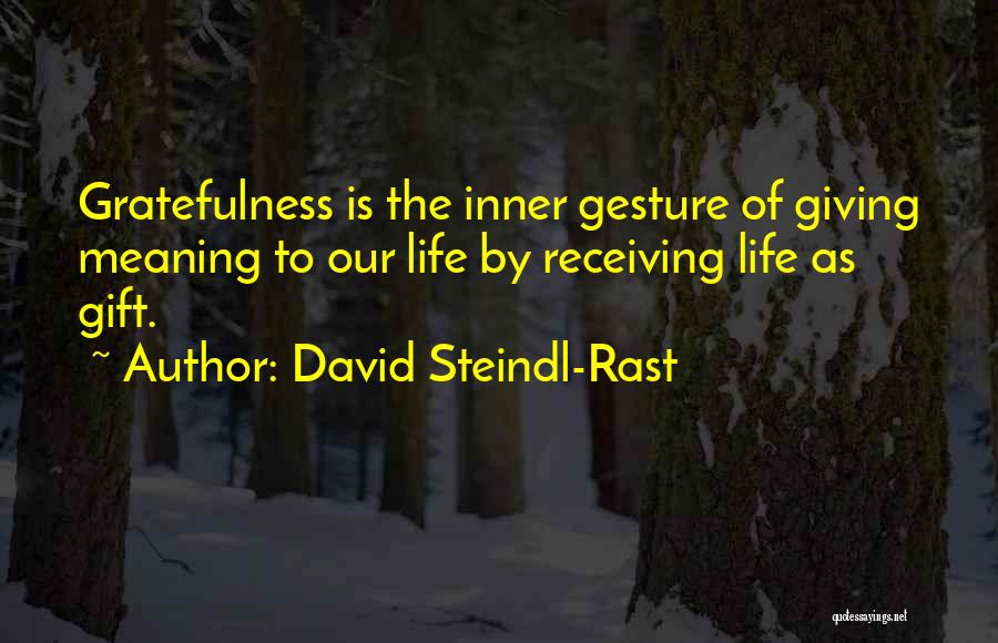 Life Giving Quotes By David Steindl-Rast