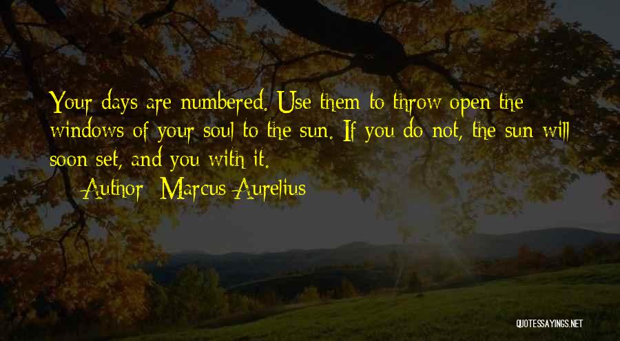 Life Giving Quotes By Marcus Aurelius