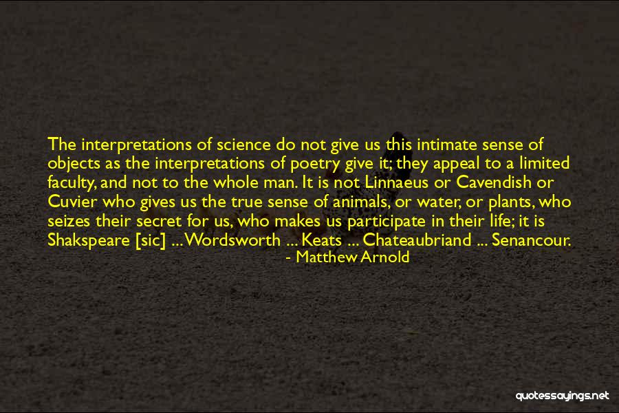 Life Giving Water Quotes By Matthew Arnold Life Giving Water Quotes By Matthew Arnold