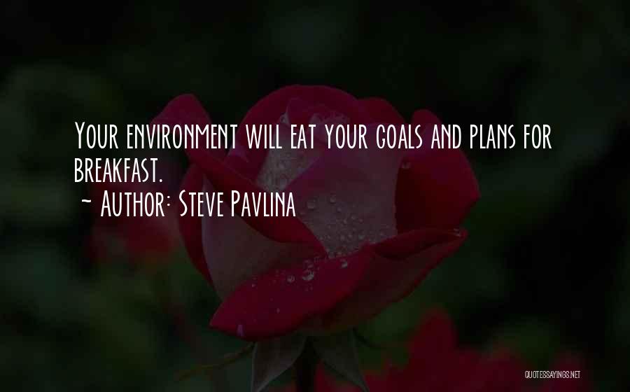 Life Goals Inspirational Quotes By Steve Pavlina